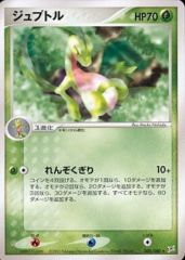 Grovyle - 005/080 - Rare