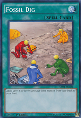 Fossil Dig - SR04-EN022 - Common - 1st Edition