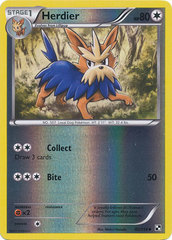 Herdier - 82/114 - Uncommon - Reverse Holo