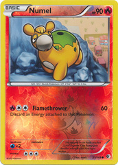 Numel - 21/149 - Common - Reverse Holo