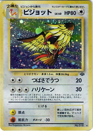 Pidgeot - Holo Rare
