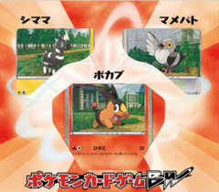 Japanese Pokemon Black & White Collection Sheet - Tepig