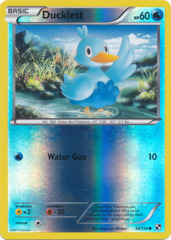 Ducklett - 36/114 - Common - Reverse Holo