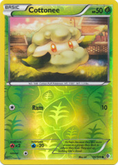 Cottonee - 14/149 - Common - Reverse Holo