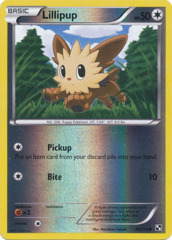 Lillipup - 80/114 - Common - Reverse Holo