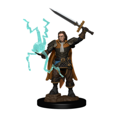 Pathfinder Battles Premium - Human Male Cleric