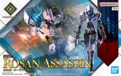 30 Minute Fantasy - #11 Rosan Assasin