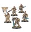 Adeptus Custodes - Custodian Guard Squad