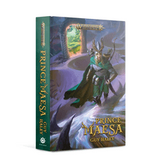 Prince Maesa Novel