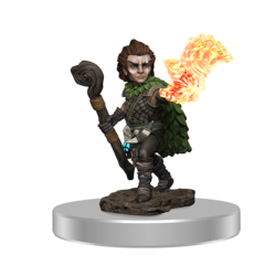 Pathfinder Battles Premium - Male Gnome Druid