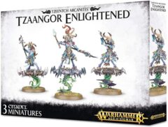 Tzeentch Arcanites - Tzaangor Enlightened