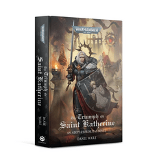 The Triumph of Saint Katherine Novel