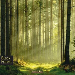 Black Forest