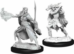 D&D Nolzurs Marvelous Miniatures - Winter Eladrin & Spring Eladrin Wave 15