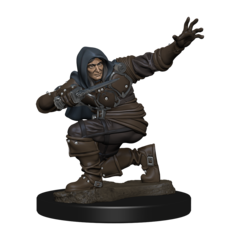 Pathfinder Battles Premium - Human Male Rogue