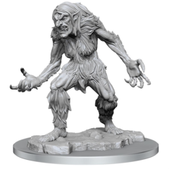 D&D Nolzur's Marvelous Miniatures - Ice Troll Paint Night Kit