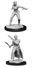 D&D Nolzur's Marvelous Miniatures - Shifter Female Rogue - Wave 13