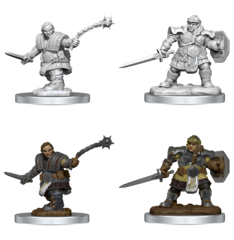 D&D Nolzur's Marvelous Miniatures - Female Dwarf Fighters