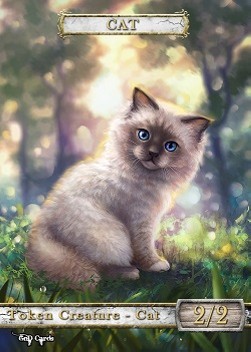 Cat #1
