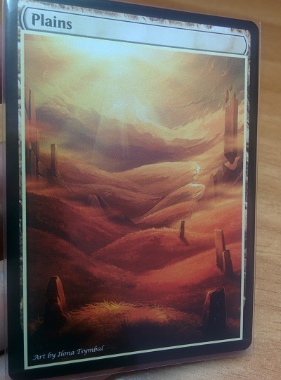 Plains #07