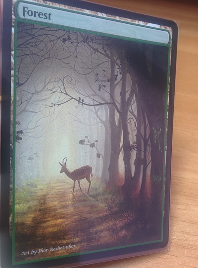 Forest #01