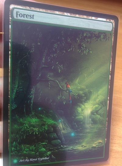 Forest #03.1