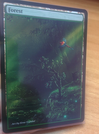 Forest #03.2