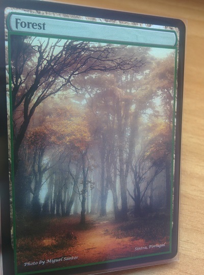 Forest #05
