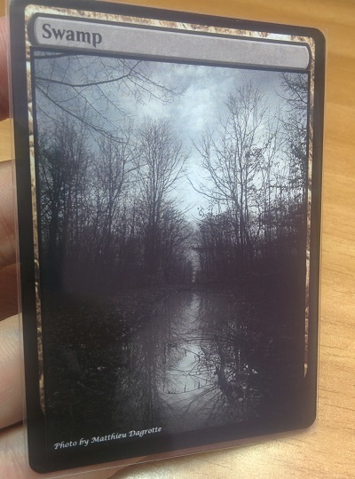 Swamp #03