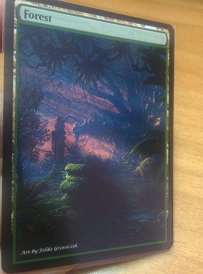 Forest #12