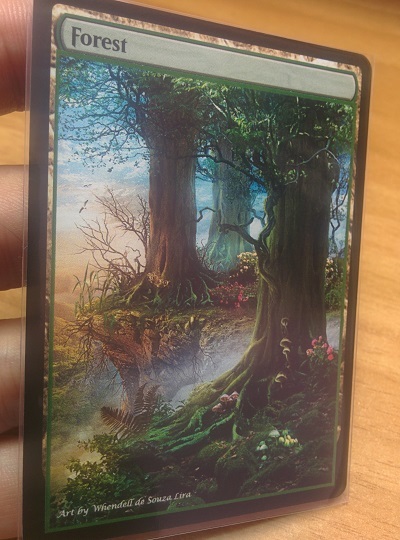 Forest #13