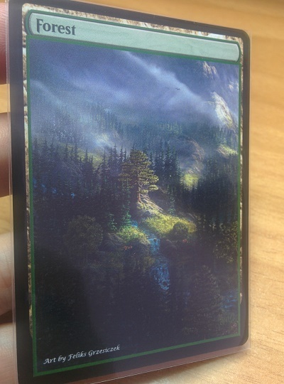 Forest #14