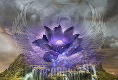 Art Print **Lotus** 13x19 Inches