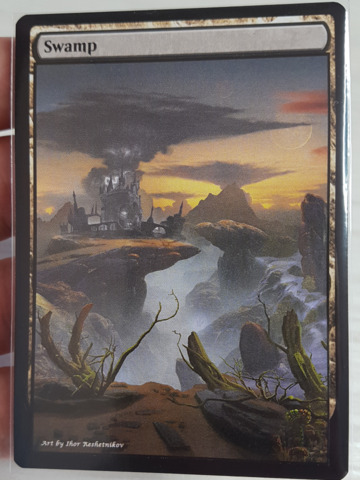 Swamp #27