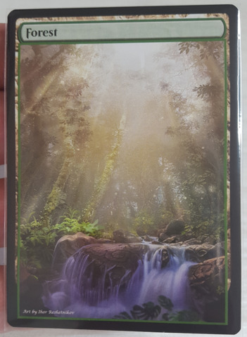 Forest #24