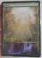 Forest #24