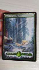 Snow Covered Forest
