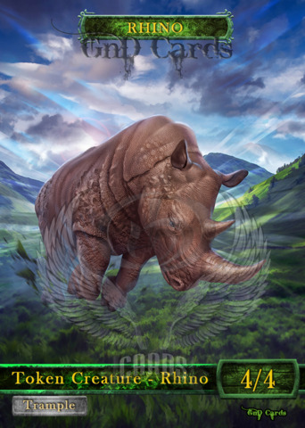 Rhino #1