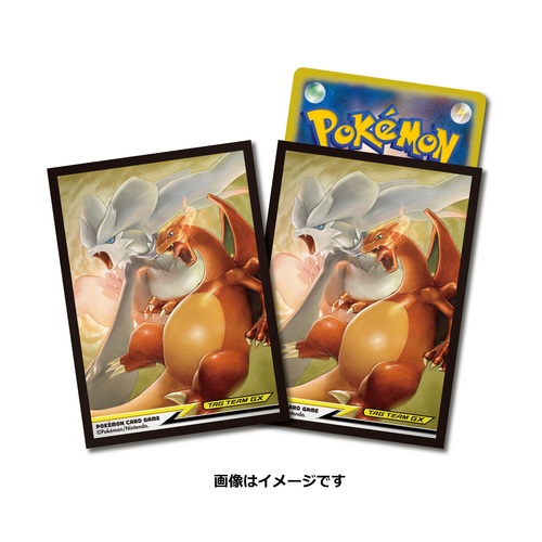 Sleeves 64ct - Reshiram & Charizard TAG TEAM GX