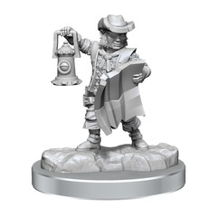 D&D Frameworks: Male Halfling Rogue (FW2)