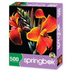 500pc - Madera Canna Lily