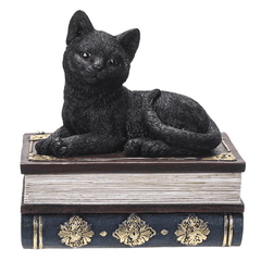 14700 - Black Cat On Book Box