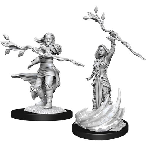 WZK 90223 - Human Druid Female
