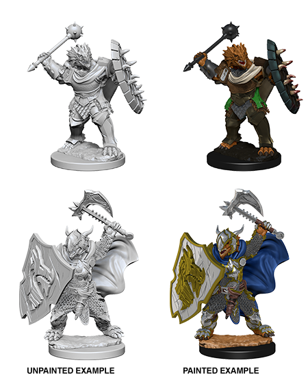 WZK 73200 - Dragonborn Paladin