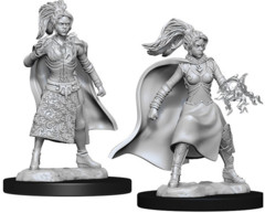 WZK 73832 - Female Human Sorcerer (2)