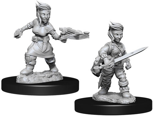 WZK 73695 - Female Hafling Rogue (2)