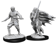 WZK 73854 -Male Elf Rogue (2)