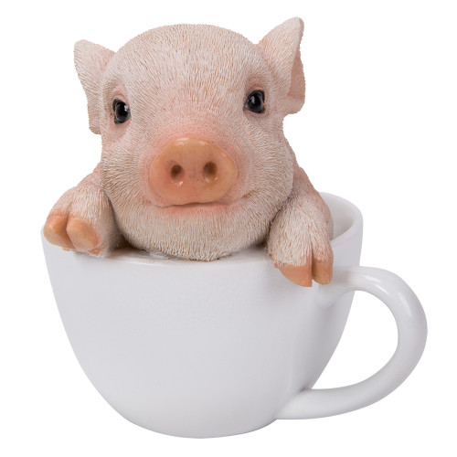 11756 Teacup Pig