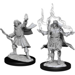 WZK 90262 - Elf Sorcerer Male