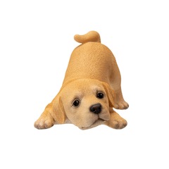 15434 - Labrador Puppy